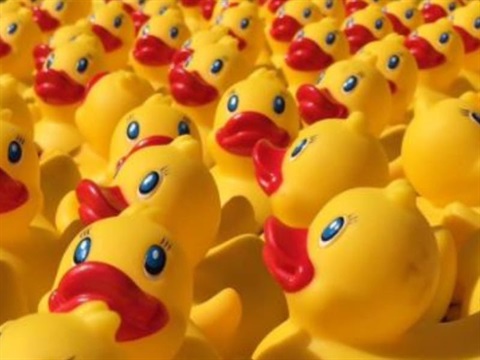 Rotary-Duck-Race.jpeg